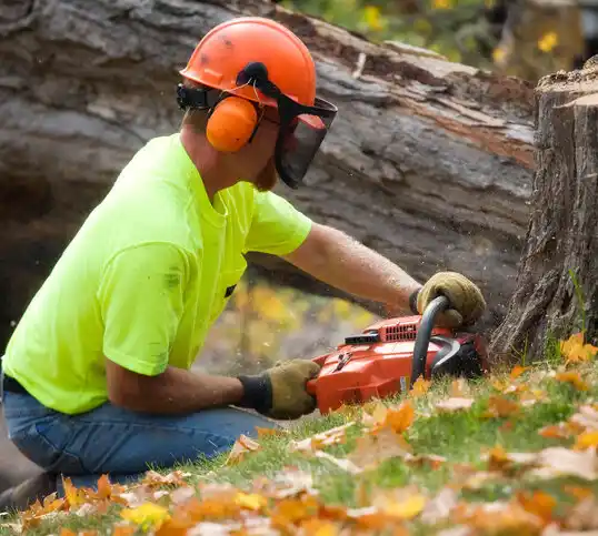 tree services Woodsville